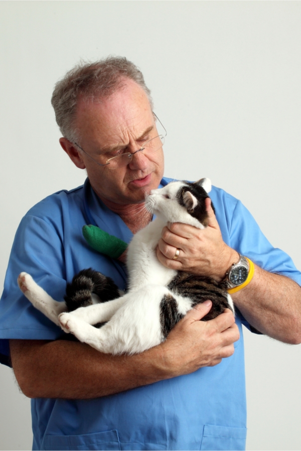 save money on pet care | save money | money | pet care | pets | pet owner | savings | furry friends