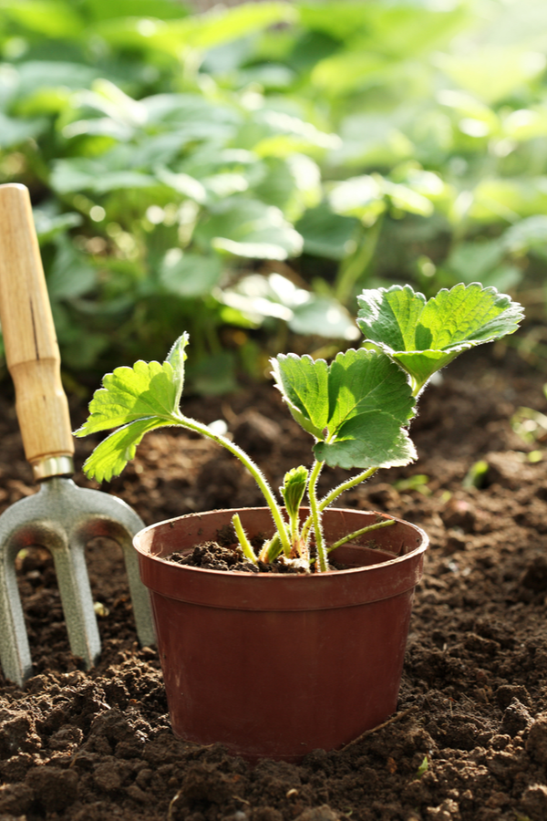 Cutting costs is part of many lives these days. It may even be a painful necessity! Here are ways to make cutting costs less painful. You'll be amazed at how great these ideas are!